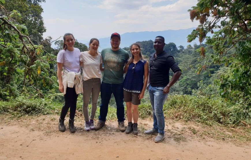 Nyungwe Canopy Walk