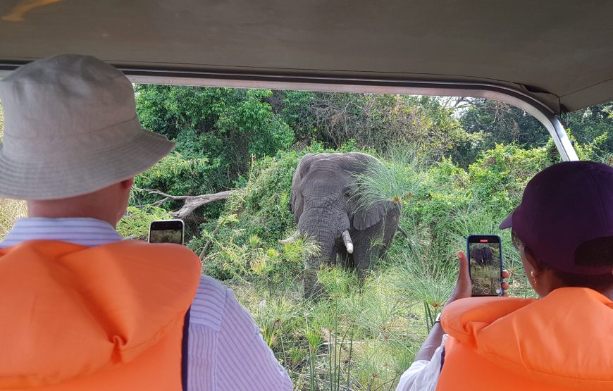 Scheduled  Boat Trip in Akagera National Park