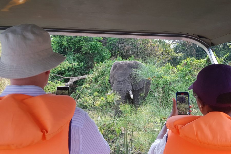 Scheduled  Boat Trip in Akagera National Park