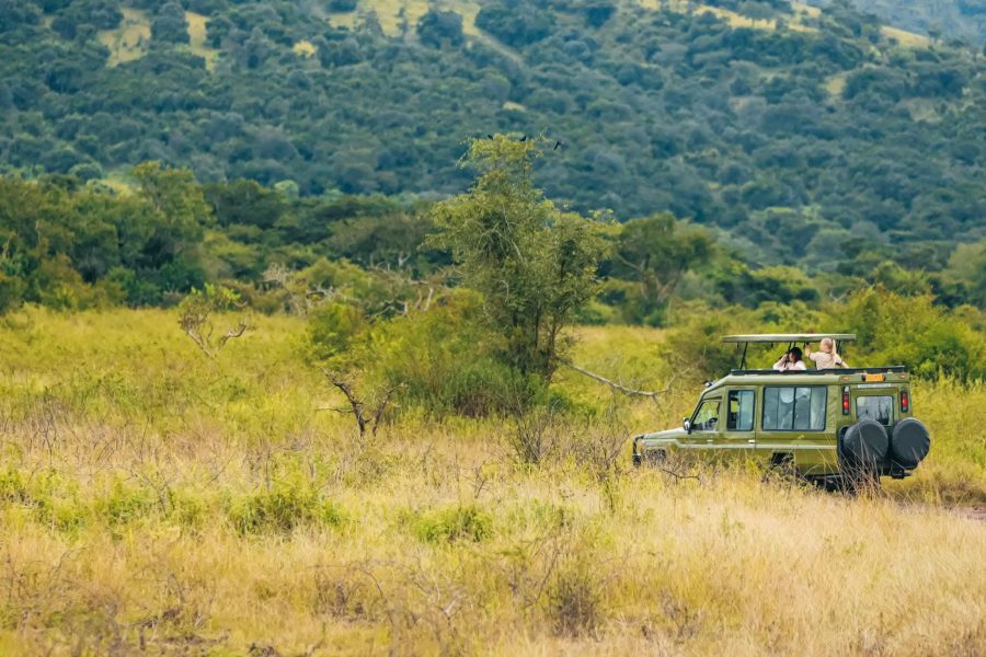 Just Game drive! One Days Safari in akagera N.P