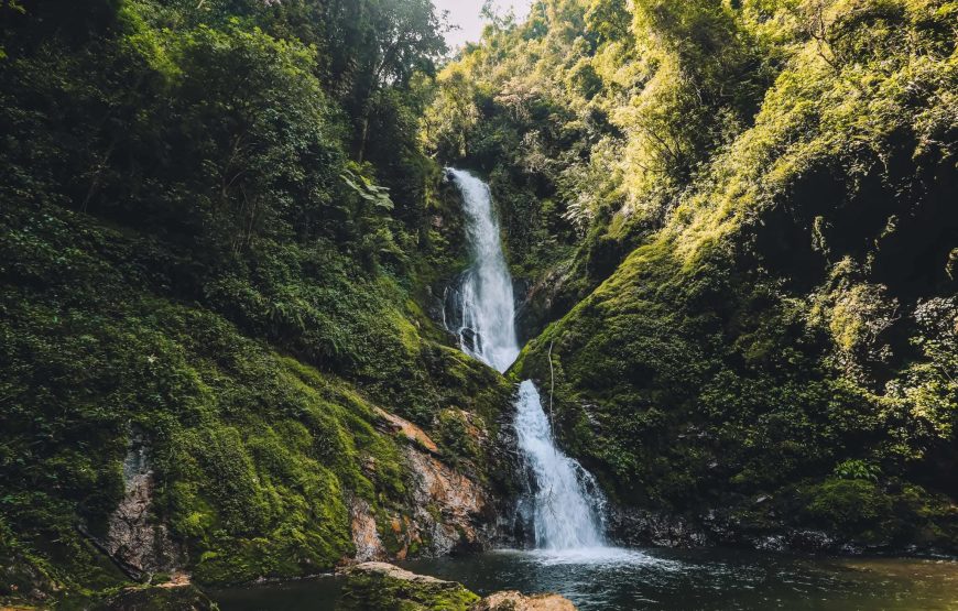 Waterfalls in Nyungwe National Prak