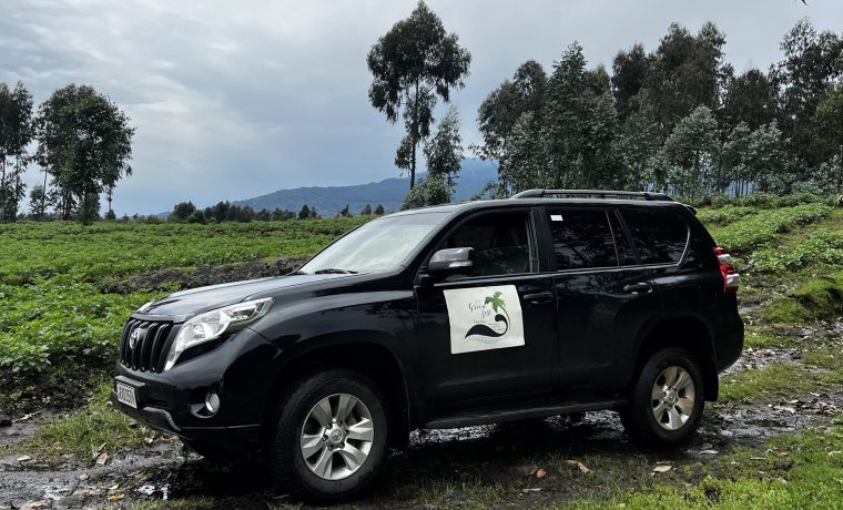 Toyota Land-Cruser 2016