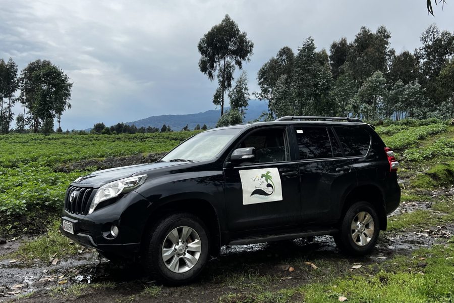 Toyota Land-Cruser 2016