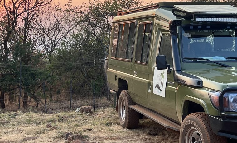 Land-Cruiser Safari car