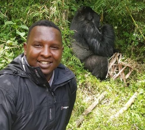 Gorilla tracking