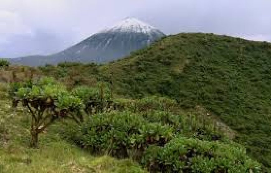 Mount Karisimbi Hike