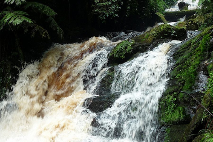 Waterfalls in Nyungwe National Prak