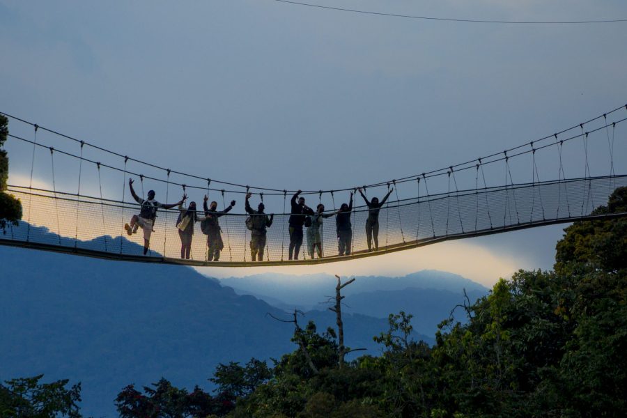 Nyungwe Canopy Walk