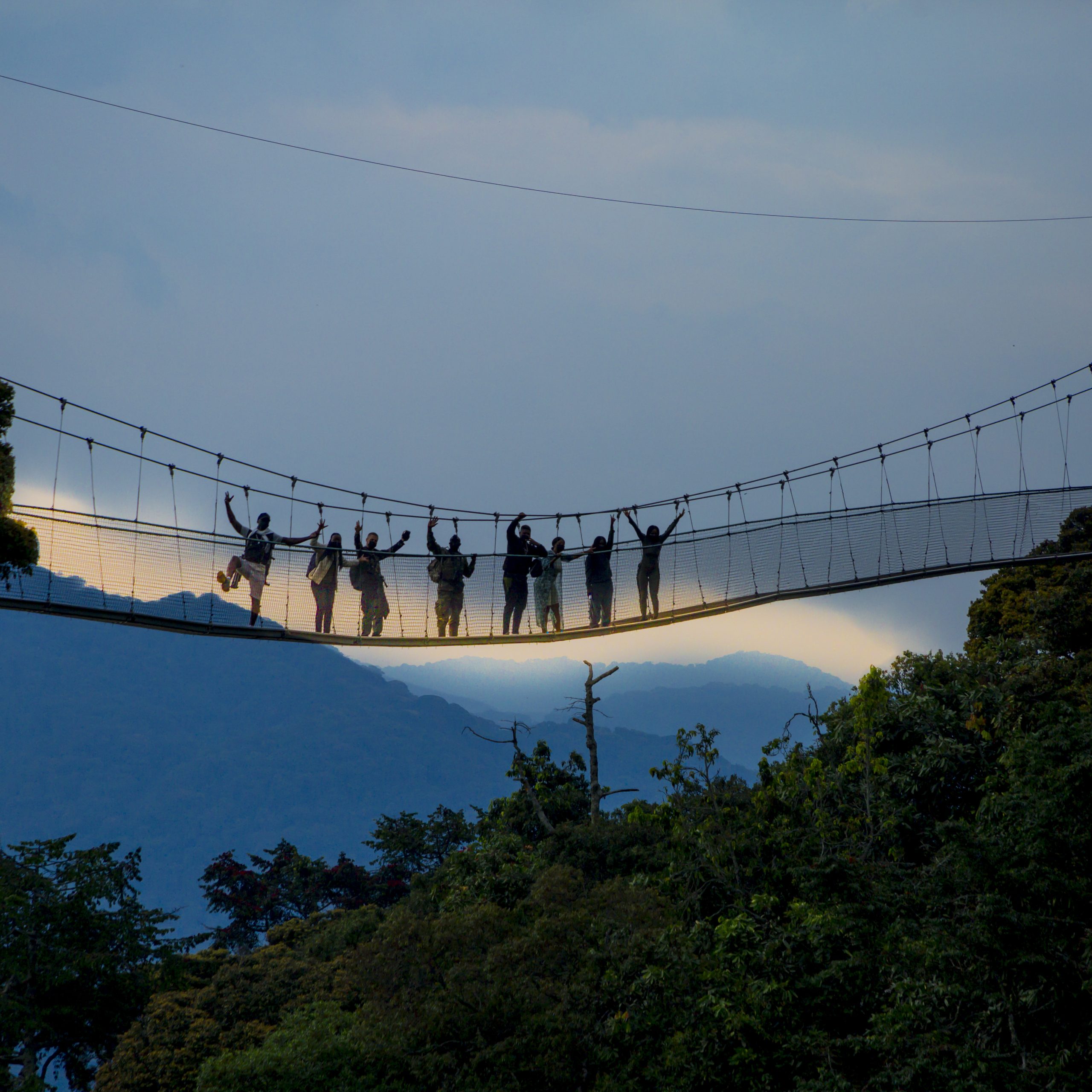 Nyungwe National Park