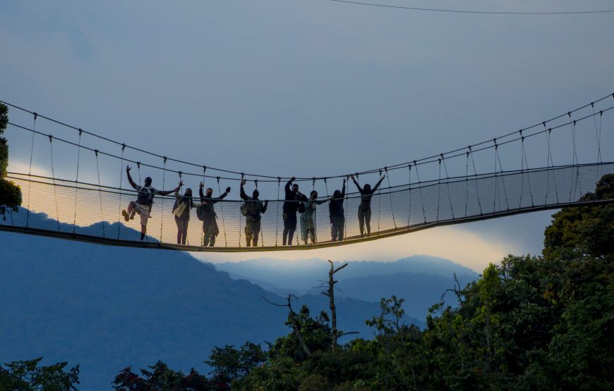 Nyungwe Canopy Walk