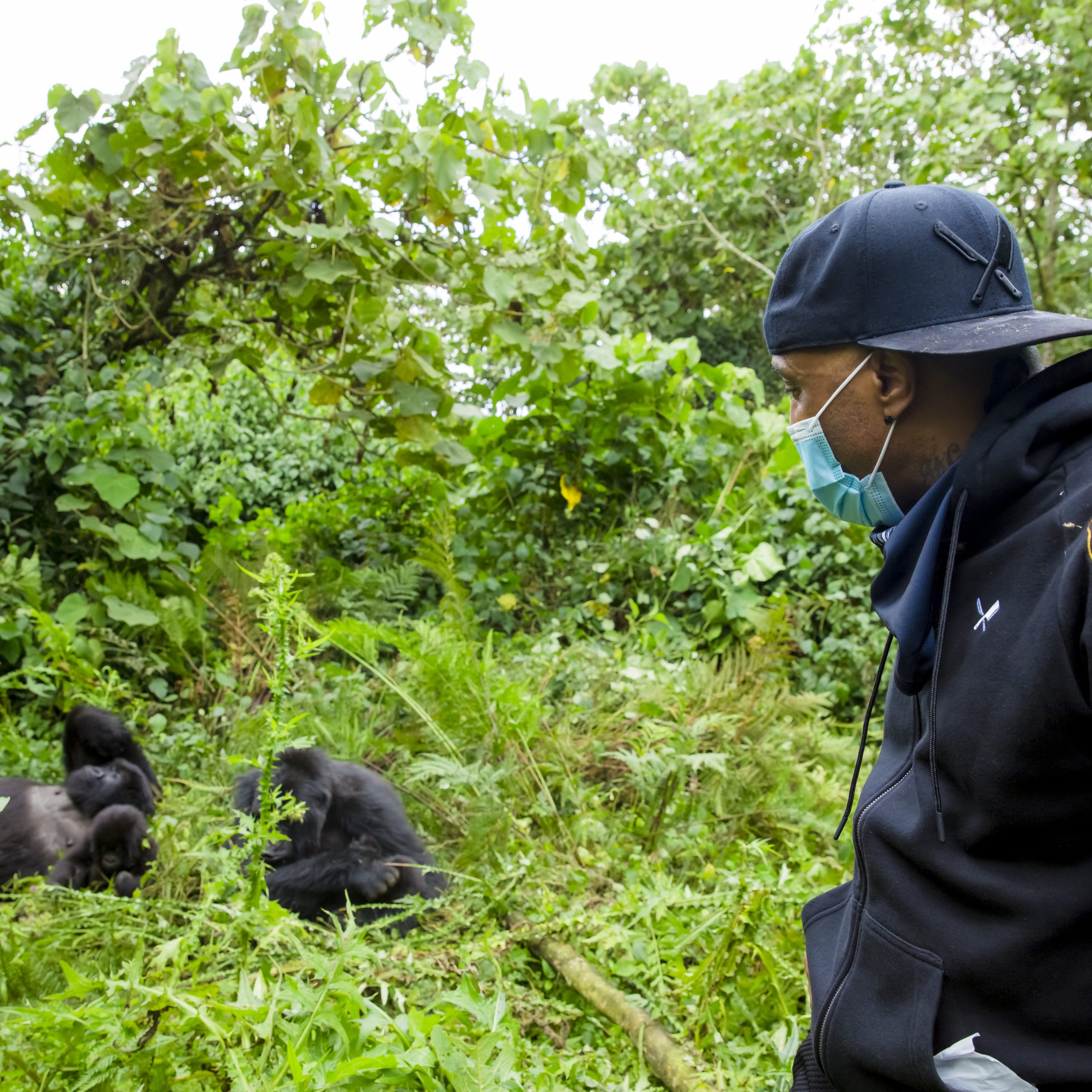 Mountain Gorilla Trekking