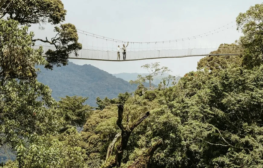 Nyungwe Canopy Walk